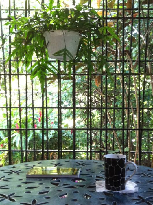 En la mañanita, un rico café y el verde hermoso del jardín me acompañan en la cocina.