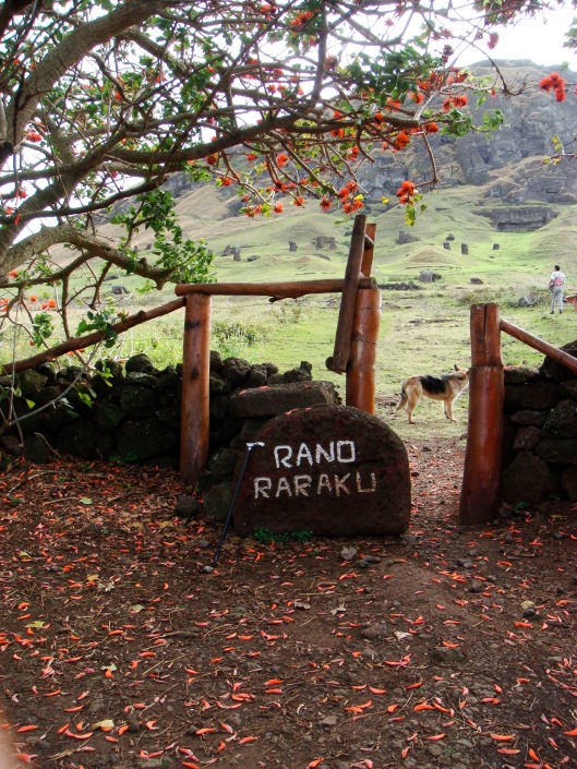 El portal de Rano Raraku, fábrica de moai...